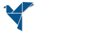 Pigee Blog